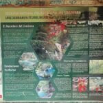 Información Reserva Natural del Nacedero del Urederra