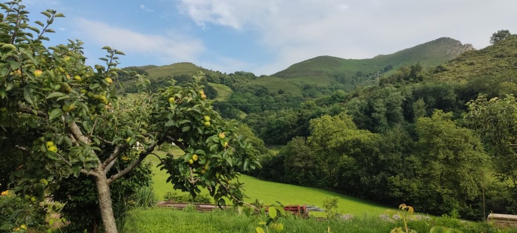 Valle del Baztán visto desde Zugarramurdi Valle del Baztán visto desde Zugarramurdi