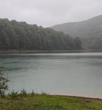 Selva de Irati - Embalse de Irabia
