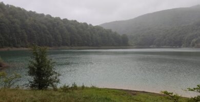 Selva de Irati - Embalse de Irabia