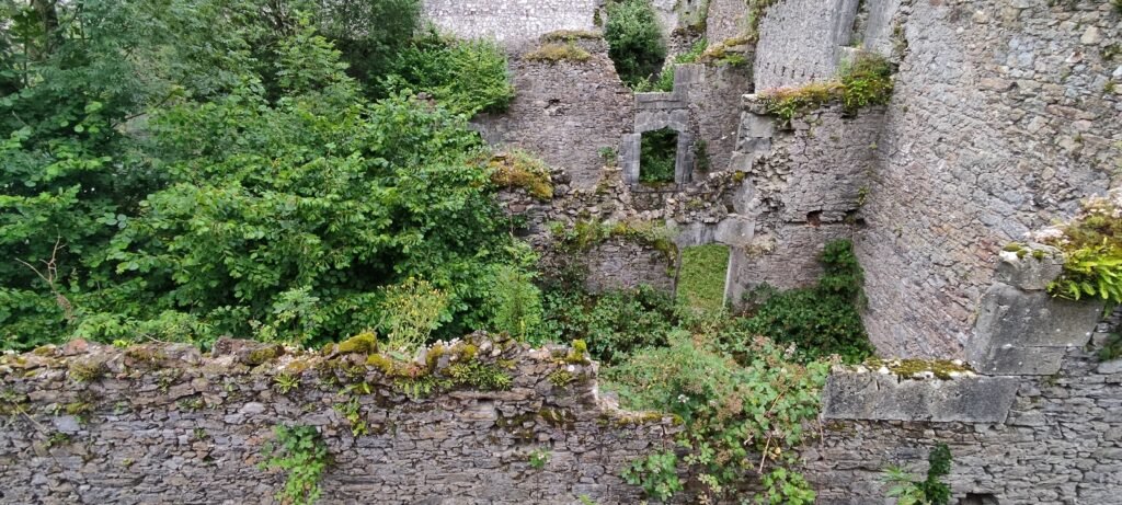 Fábrica de Armas de Orbaizeta cubierta por la Naturaleza