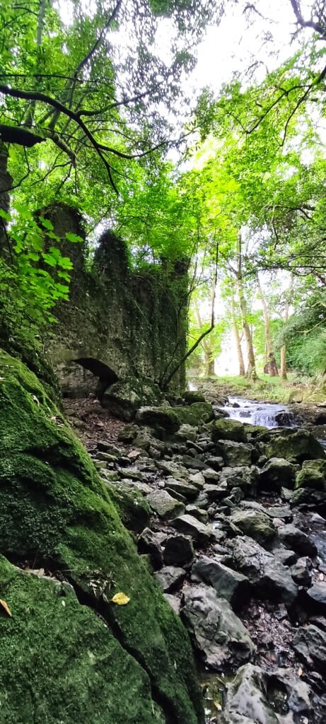 Alrededores de la Fuente del Francés y la Gruta del Diablo